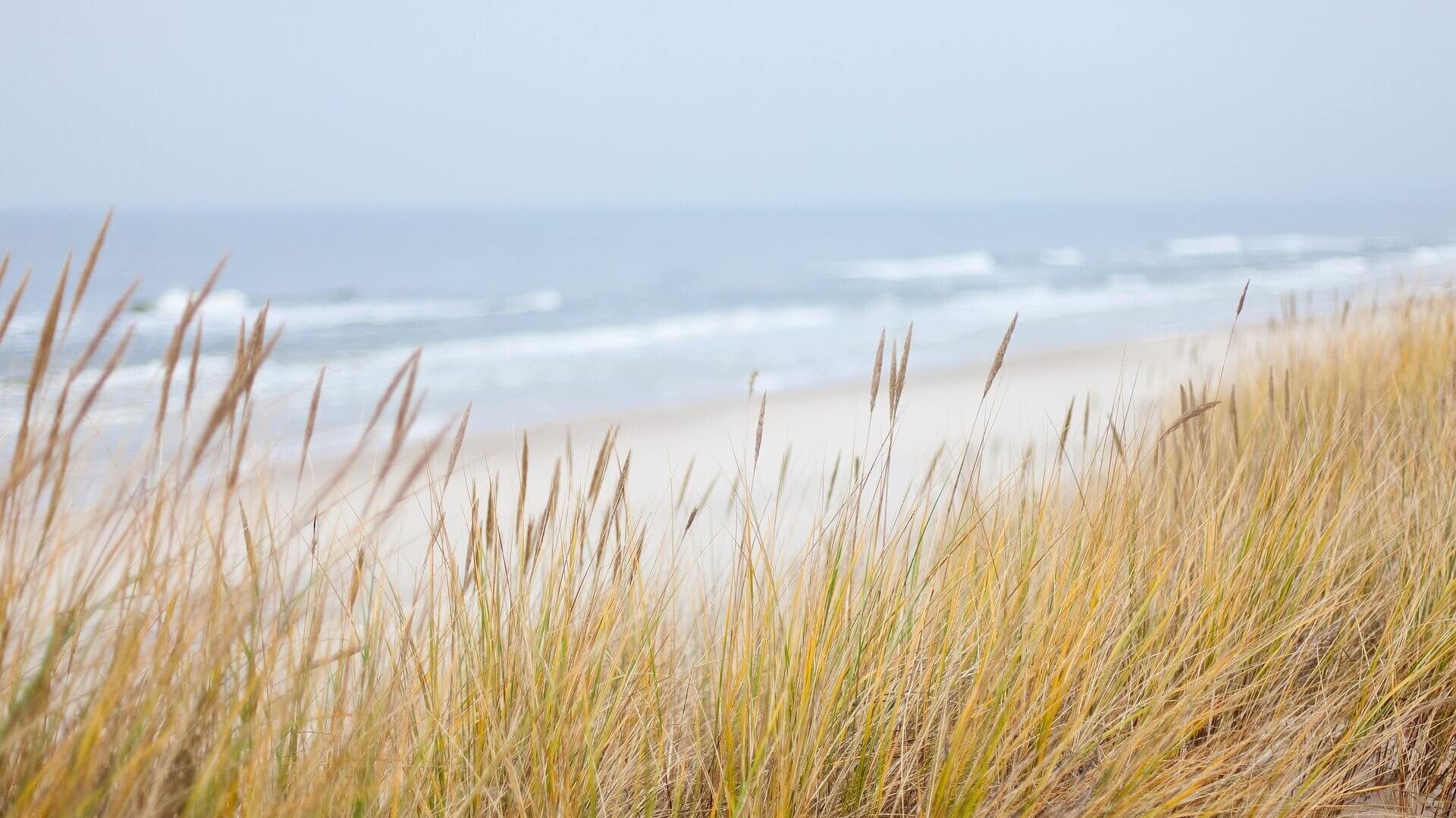 Cycling in Schleswig-Holstein