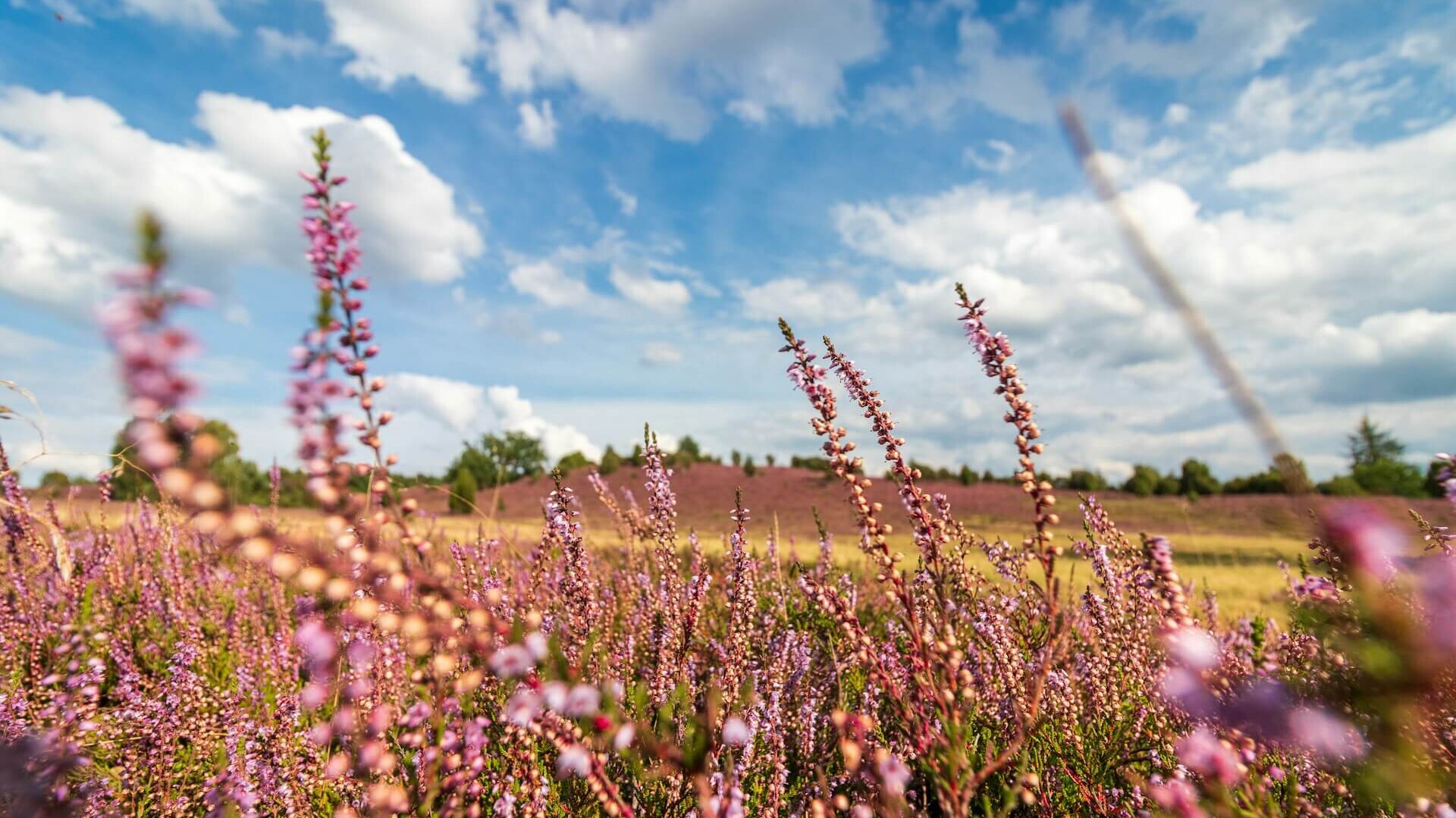 Cycling in Lower Saxony